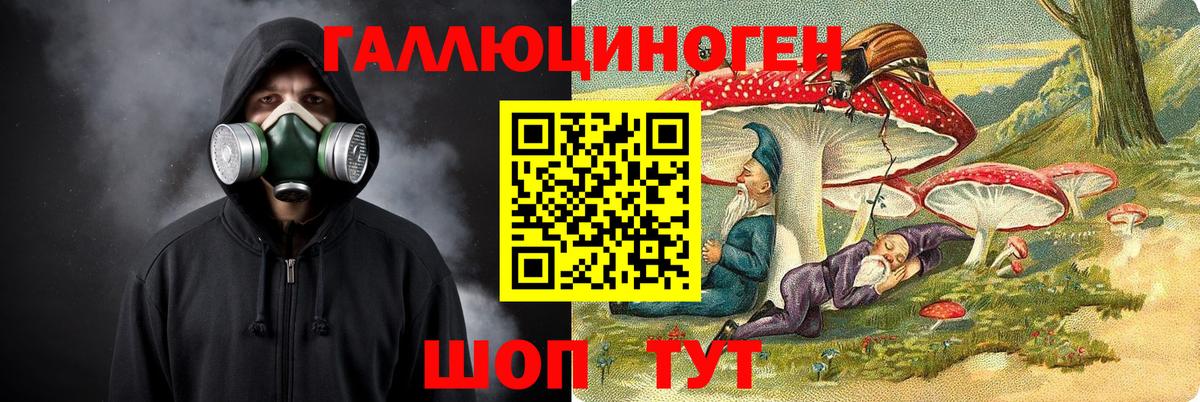 Псилоцибиновые грибы Cubensis Серов
