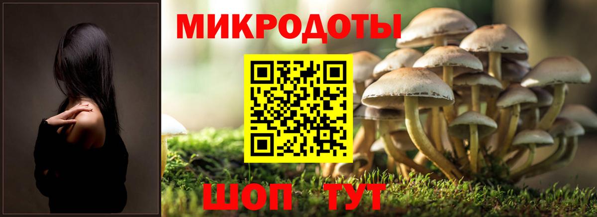 где купить   Псилоцибиновые грибы мицелий  Вход с VPN  Серов 